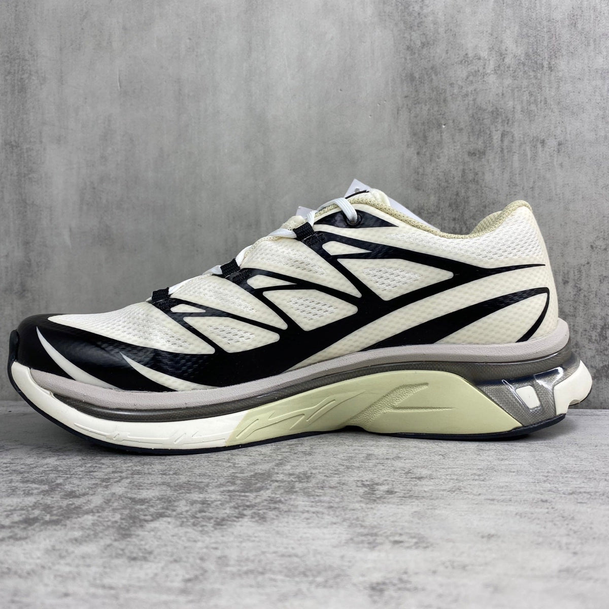 SALOMON x MAISON MARGIE XT-6 MM6
